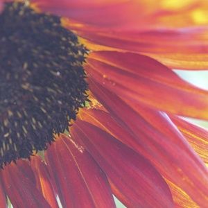 Meet your Posher, Stacie